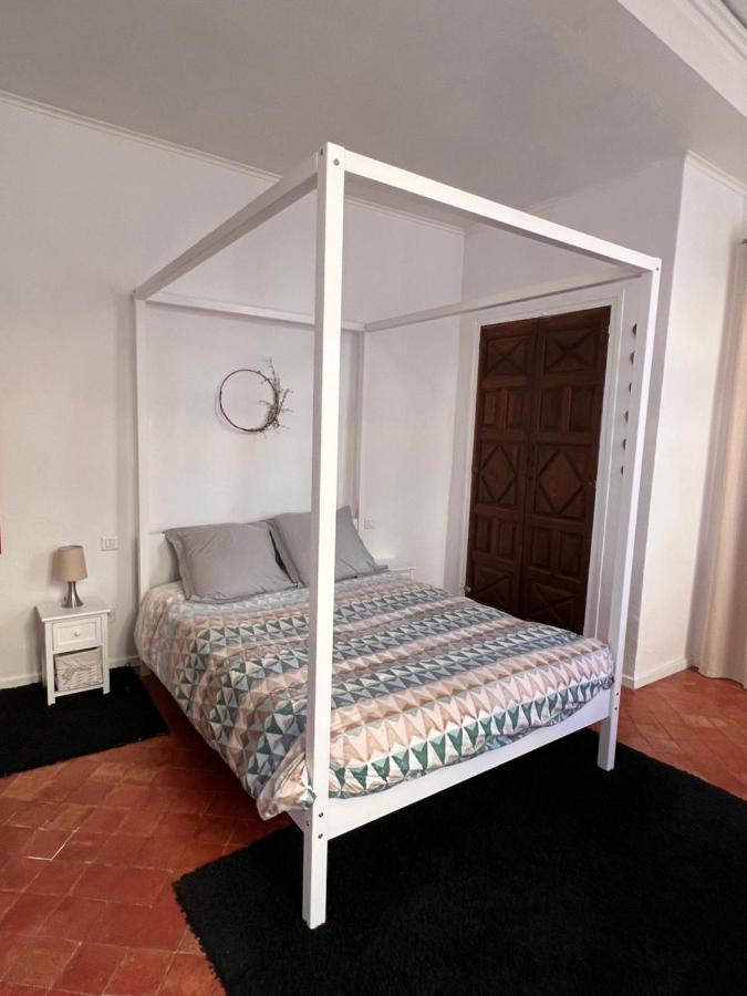 Perpignan Appartement En Plein Centre Historique 外观 照片