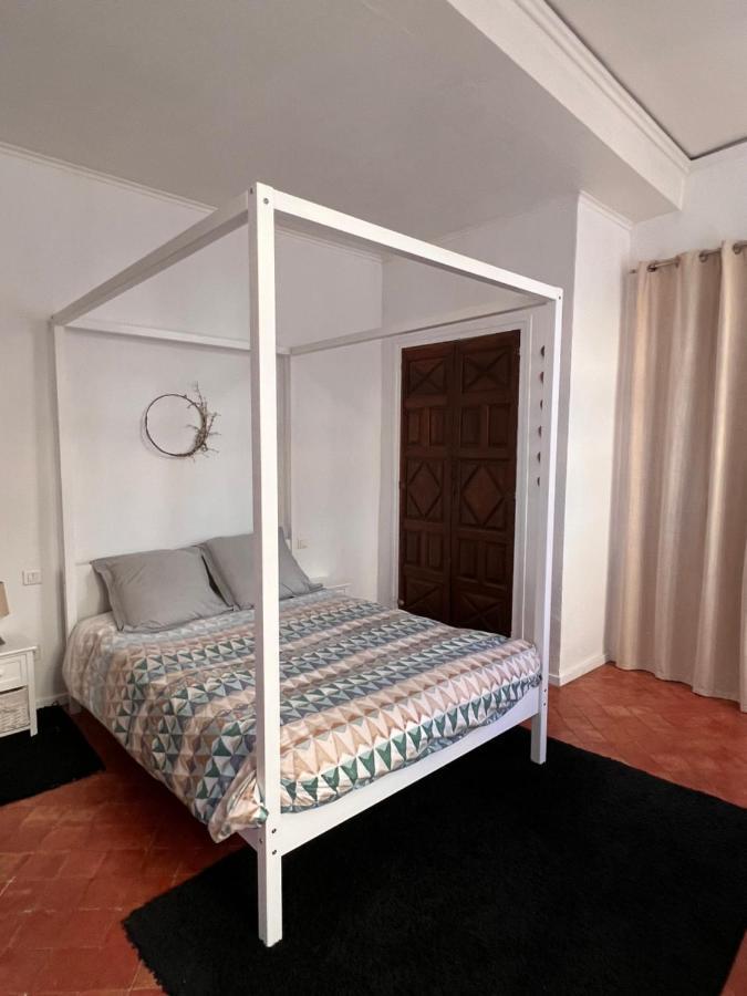 Perpignan Appartement En Plein Centre Historique 外观 照片