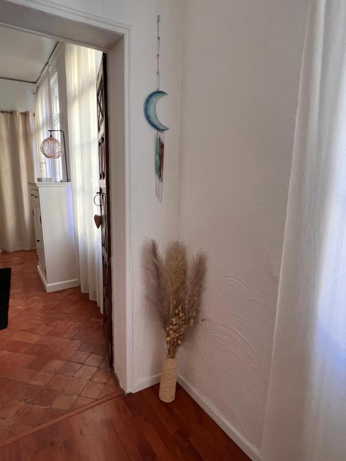 Perpignan Appartement En Plein Centre Historique 外观 照片